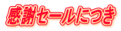 ���ӃZ�[���ɂ�
